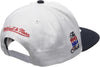 Mitchell & Ness Wt/Bk NBA Chicago Bulls 1993 World Champions HWC Snapback - OSFA