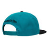 Mitchell & Ness Teal/Bk NBA Detroit Pistons Team Ground 2.0 HWC Snapback - OSFA
