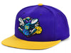 Mitchell & Ness Prpl/Yllow NBA Charlotte Hornets HWC Core Basic Snapback - OSFA