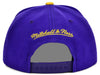 Mitchell & Ness Prpl/Yllow NBA Charlotte Hornets HWC Core Basic Snapback - OSFA
