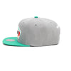 Mitchell & Ness Grey/Teal NBA San Antonio Spurs HWC Core Basic Snapback - OSFA