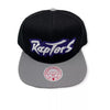 Mitchell & Ness Black/Gray NBA Toronto Raptors HWC Core Basic Snapback - OSFA