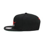 Mitchell & Ness Black NBA Toronto Raptors HWC Core Basic Snapback - OSFA