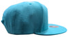 Mitchell & Ness Teal NBA Vancouver Grizzlies HWC Core Basic Snapback - OSFA