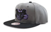 Mitchell & Ness Grey/Blck NBA Charlotte Hornets Neon Lights HWC Snapback - OSFA