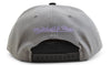 Mitchell & Ness Grey/Blck NBA Charlotte Hornets Neon Lights HWC Snapback - OSFA