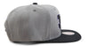 Mitchell & Ness Grey/Blck NBA Charlotte Hornets Neon Lights HWC Snapback - OSFA