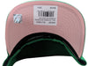 Mitchell & Ness Green NBA Seattle Supersonic All Love HWC Snapback - OSFA