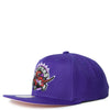 Mitchell & Ness Purple NBA Toronto Raptors All Love HWC Snapback - OSFA