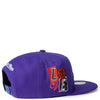 Mitchell & Ness Purple NBA Toronto Raptors All Love HWC Snapback - OSFA