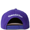 Mitchell & Ness Purple NBA Toronto Raptors All Love HWC Snapback - OSFA