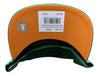 Men's Mitchell & Ness Green NBA Detroit Pistons Like Mike HWC Snapback - OSFA