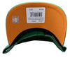 Men's Mitchell & Ness Green NBA Houston Rockets Like Mike HWC Snapback - OSFA