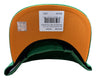 Men's Mitchell & Ness Green NBA Phoenix Suns Like Mike HWC Snapback - OSFA