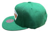 Men's Mitchell & Ness Green NBA San Antonio Spurs Like Mike HWC Snapback - OSFA
