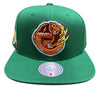 Mitchell & Ness Green NBA Vancouver Grizzlies Like Mike HWC Snapback - OSFA