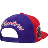 Mitchell & Ness Pl/Rd NBA Toronto Raptors Rear Script Deadstock Snapback - OSFA