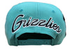 Mitchell&Ness NBA Vancouver Grizzlies Rear Script HWC Deadstock Snapback - OSFA