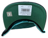 Mitchell&Ness NBA Vancouver Grizzlies Rear Script HWC Deadstock Snapback - OSFA