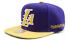 Mitchell & Ness NBA Los Angeles Lakers Rear Script Deadstock Snapback - OSFA