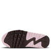 Big Kid's Nike Air Max 90 LTR Smokey Mauve/Platinum Violet (CD6864 201)