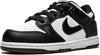 Toddler's Nike Dunk Low