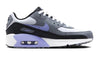Big Kid's Nike Air Max 90 LTR Photon Dust/Light Thistle (DV3607 001)