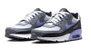 Big Kid's Nike Air Max 90 LTR Photon Dust/Light Thistle (DV3607 001)