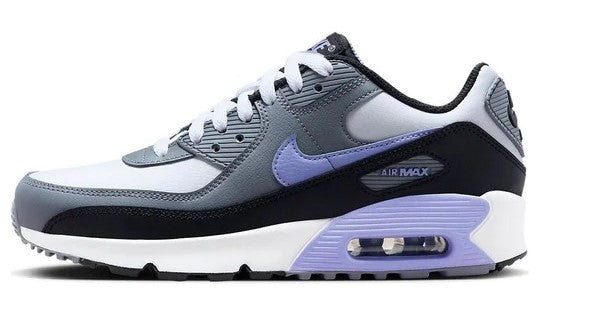 Big Kid's Nike Air Max 90 LTR Photon Dust/Light Thistle (DV3607 001)