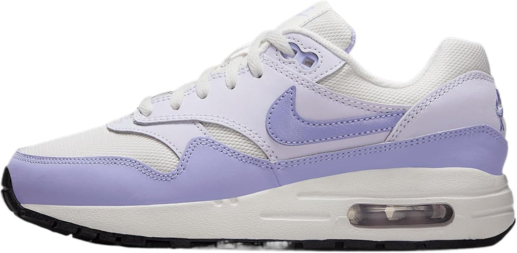 Big Kid's Nike Air Max 1 Platinum Tint/Hydrangeas (DZ3307 011)