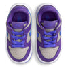 Toddler's Nike Dunk Low College Grey/Persian Violet (FB9107 007)