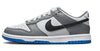 Big Kid's Nike Dunk Low Cool Grey/Black-Pure Platinum (FB9109 001)