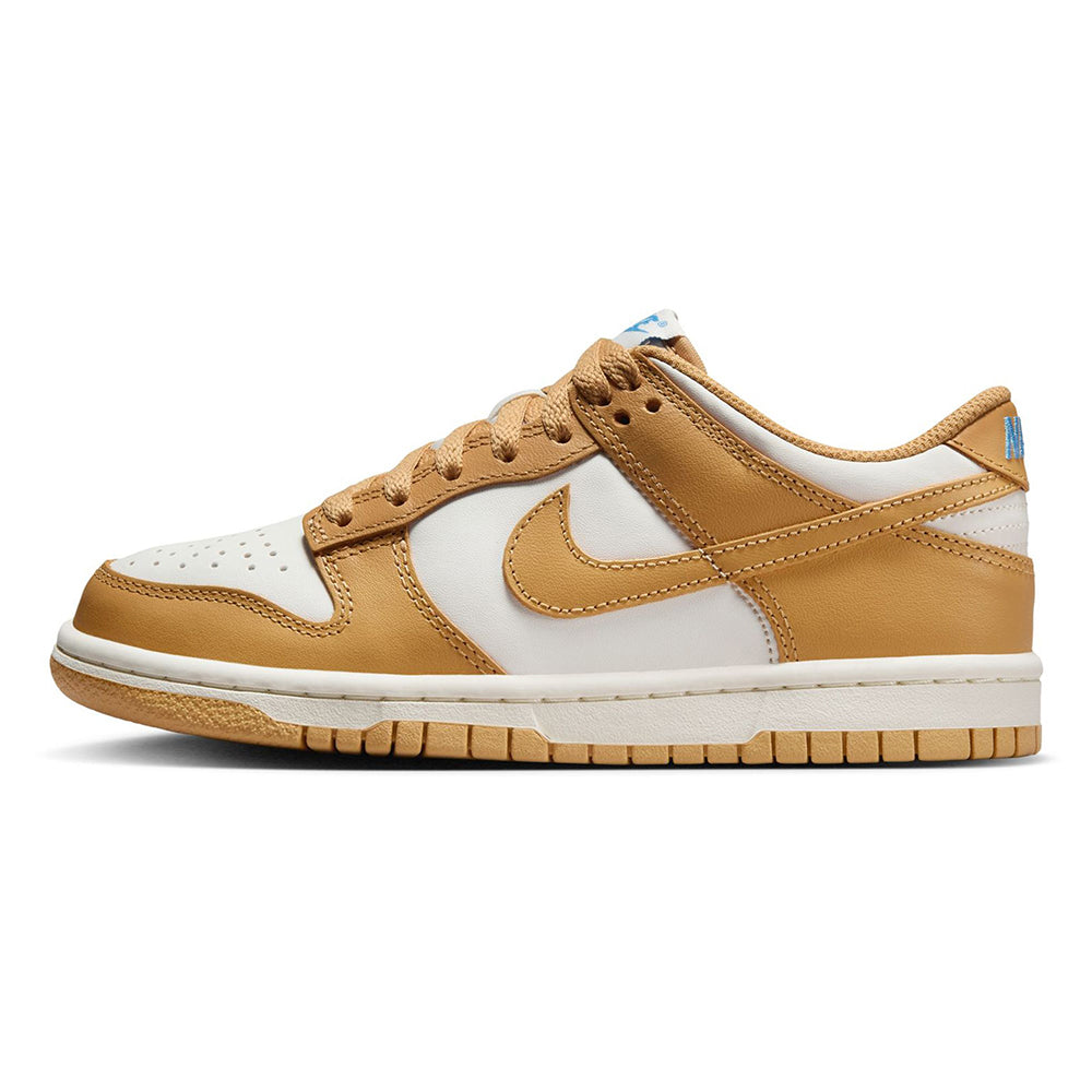 Big Kid's Nike Dunk Low Honeycomb/Honeycomb Sail (FB9109 700)