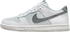 Big Kid's Nike Dunk Low White/Smoke Grey-Pure Platinum (FV0365 100)