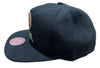 Men's Mitchell & Ness Black NBA Boston Celtics Water Tiger HWC Snapback - OSFA
