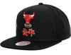 Men's Mitchell & Ness Black NBA Chicago Bulls Water Tiger HWC Snapback - OSFA