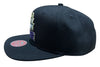 Men's Mitchell & Ness Black NBA Milwaukee Bucks Water Tiger HWC Snapback - OSFA