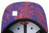 Men's Mitchell & Ness Black NBA Toronto Raptors Water Tiger HWC Snapback - OSFA