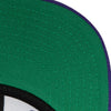 Mitchell & Ness Purple NBA Phoenix Suns Team Ground 2.0 HWC Snapback - OSFA