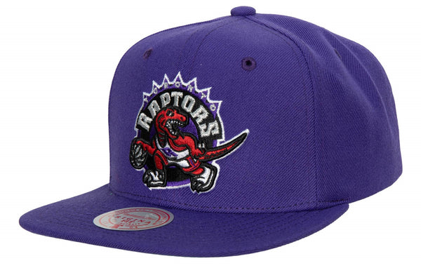 Mitchell & Ness Purple NBA Toronto Raptors Team Ground 2.0 HWC Snapback - OSFA
