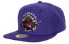 Mitchell & Ness Purple NBA Toronto Raptors Team Ground 2.0 HWC Snapback - OSFA