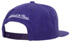 Mitchell & Ness Purple NBA Toronto Raptors Team Ground 2.0 HWC Snapback - OSFA