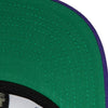 Mitchell & Ness Purple NBA Toronto Raptors Team Ground 2.0 HWC Snapback - OSFA