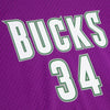 Mitchell & Ness NBA Milwaukee Bucks 2000-01 Ray Allen Purple Mesh Jersey