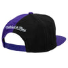 Mitchell & Ness Purple Toronto Raptors NBA Retroline HWC Snapback - OSFA