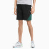 Men's Puma Black/Green/White Mercedes AMG Petronas F1 Sweat Shorts