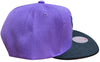 Men's Mitchell & Ness Purple/Black NBA Charlotte Hornets Easter Snapback - OSFA