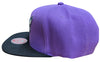 Men's Mitchell & Ness Purple/Black NBA Charlotte Hornets Easter Snapback - OSFA