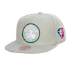 Mitchell & Ness Slvr NBA Boston Celtics 75th Anniversary Silver Snapback - OSFA