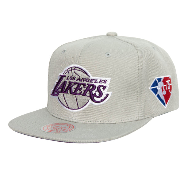 Mitchell & Ness Los Angeles Lakers 75th Anniversary Silver Snapback - OSFA